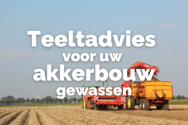 Afbeelding Teeltadvies | bewaring en kiemremming aardappels, onkruidbestrijding wintergerst en ziektebestrijding suikerbieten en wortelen