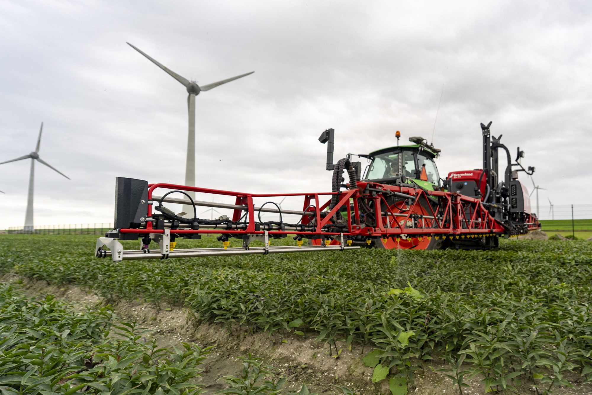 Afbeelding Video | SKAi spotsprayer in de lelieteelt