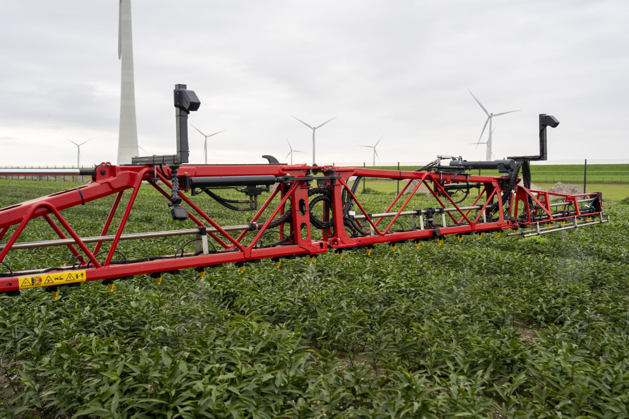 Afbeelding Video | SKAi spotsprayer in de lelieteelt
