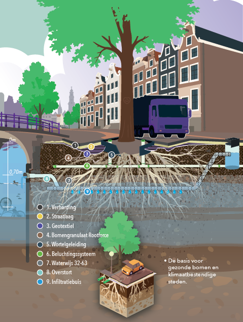 Afbeelding Nieuwe generatie boomgranulaat combineert boomgroei en draagkracht