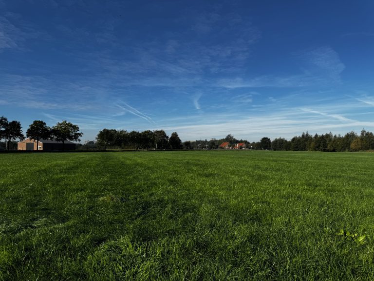 Afbeelding Video | Onderzoek borium en sporenelementen grasland