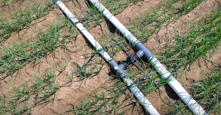 Afbeelding Alles over fertigatie | teeltsystemen