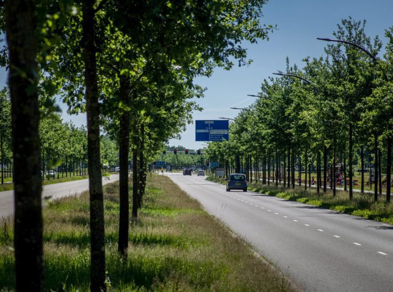 Afbeelding Nieuwe generatie boomgranulaat combineert boomgroei en draagkracht