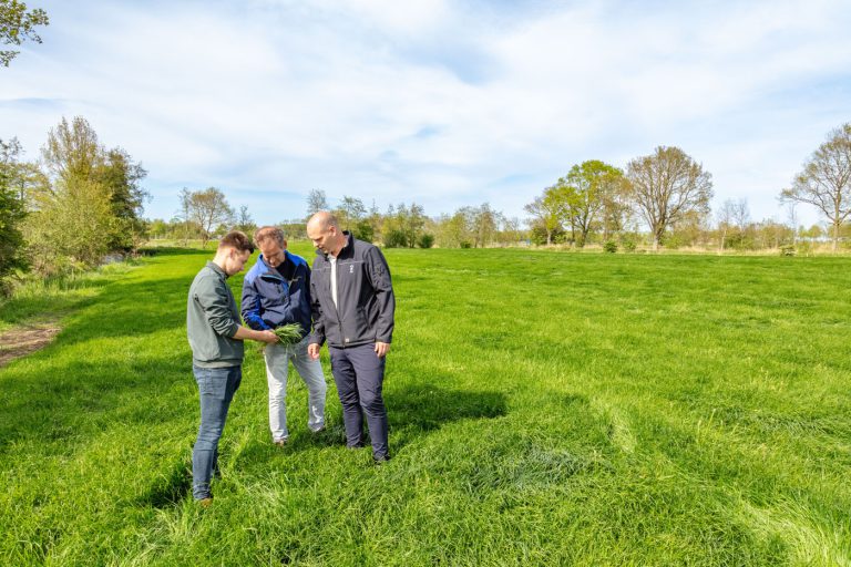 Afbeelding ViP | Waarom kwaliteit begint onder het gras